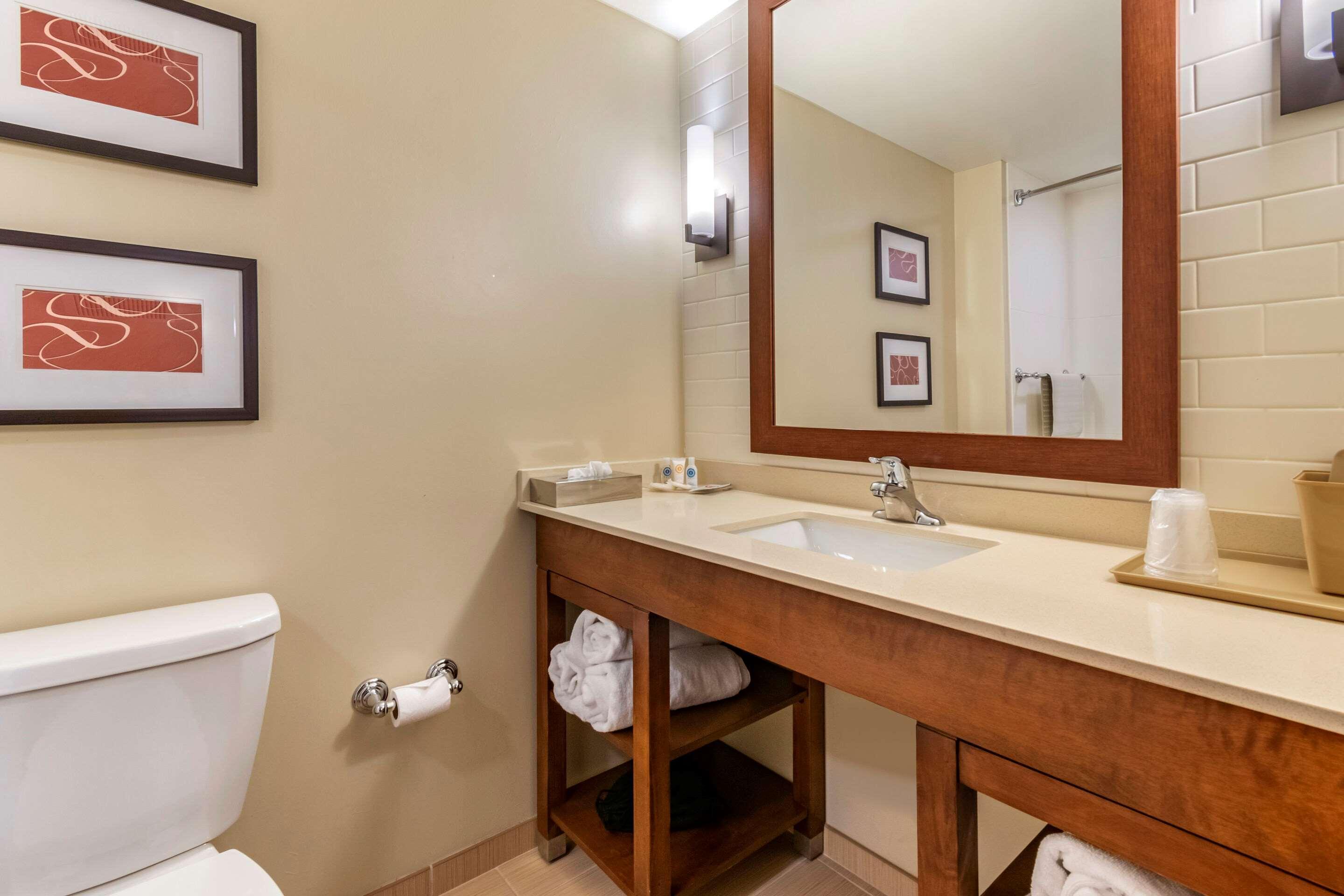 Comfort Suites Manheim - Lancaster Eksteriør bilde